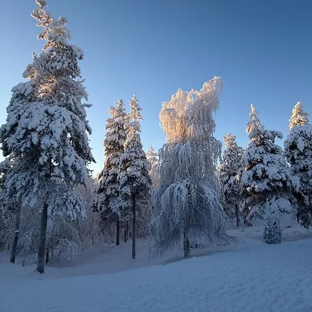 Nordic In With A Private Sledding Hill, Sauna & Cozy Family Huvilat *