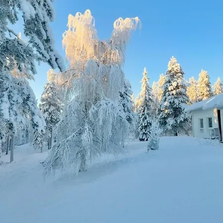 Nordic In With A Private Sledding Hill, Sauna & Cozy Family Rovaniemi