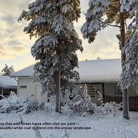 Huvilat Nordic In With A Private Sledding Hill, Sauna & Cozy Family *