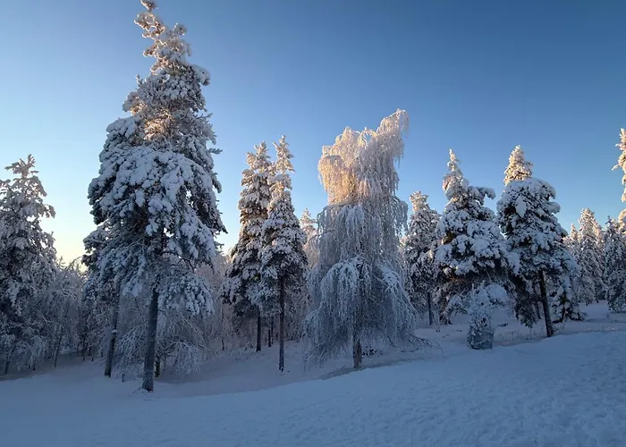 Nordic In With A Private Sledding Hill, Sauna & Cozy Family Villa *