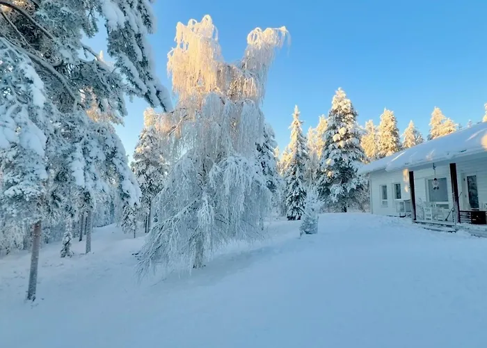 Nordic In With A Private Sledding Hill, Sauna & Cozy Family Rovaniemi