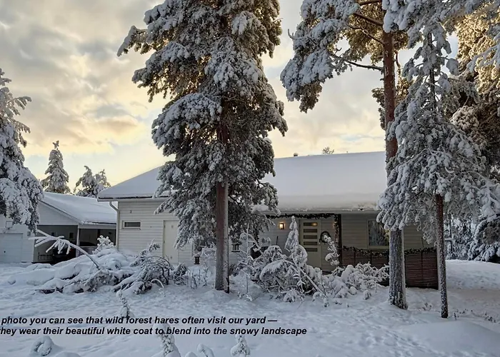 Villa Nordic In With A Private Sledding Hill, Sauna & Cozy Family *